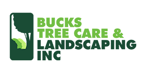 Bucks Tree Care Landscaping